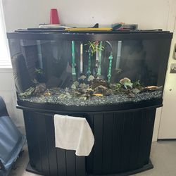 72 Gallon BowFront Oceanic Aquarium