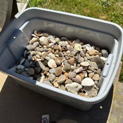 Aquarium Gravel/ Shell Mix 