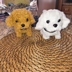 Puppies Brand New 