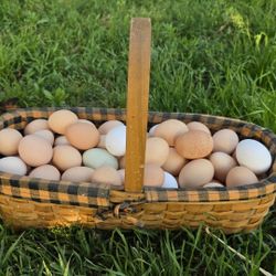 Farm Eggs/ Huevos