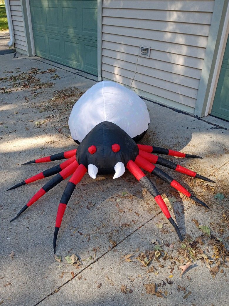 Halloween Spider