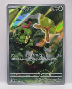 Pokemon Japanese ART RARES AR