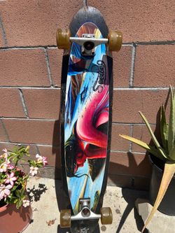 Long Boards Skateboard