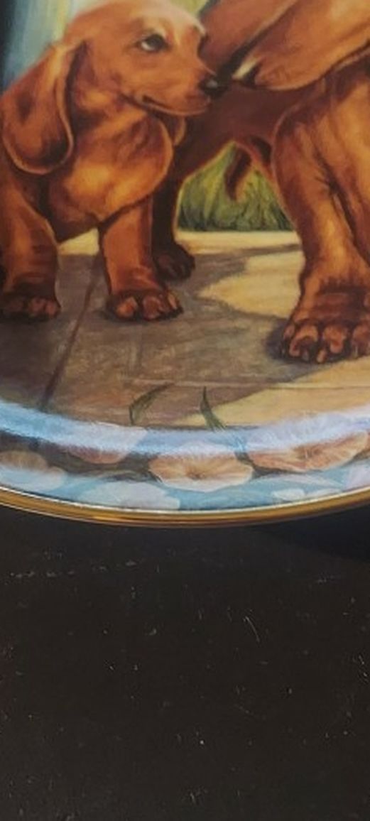 Dachshunds Collection Wall Plates By Chistefer Nick