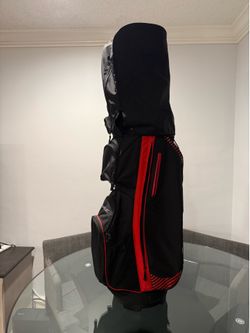 Taylor made RBZ golf bag