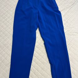 Zara Blue Pants 