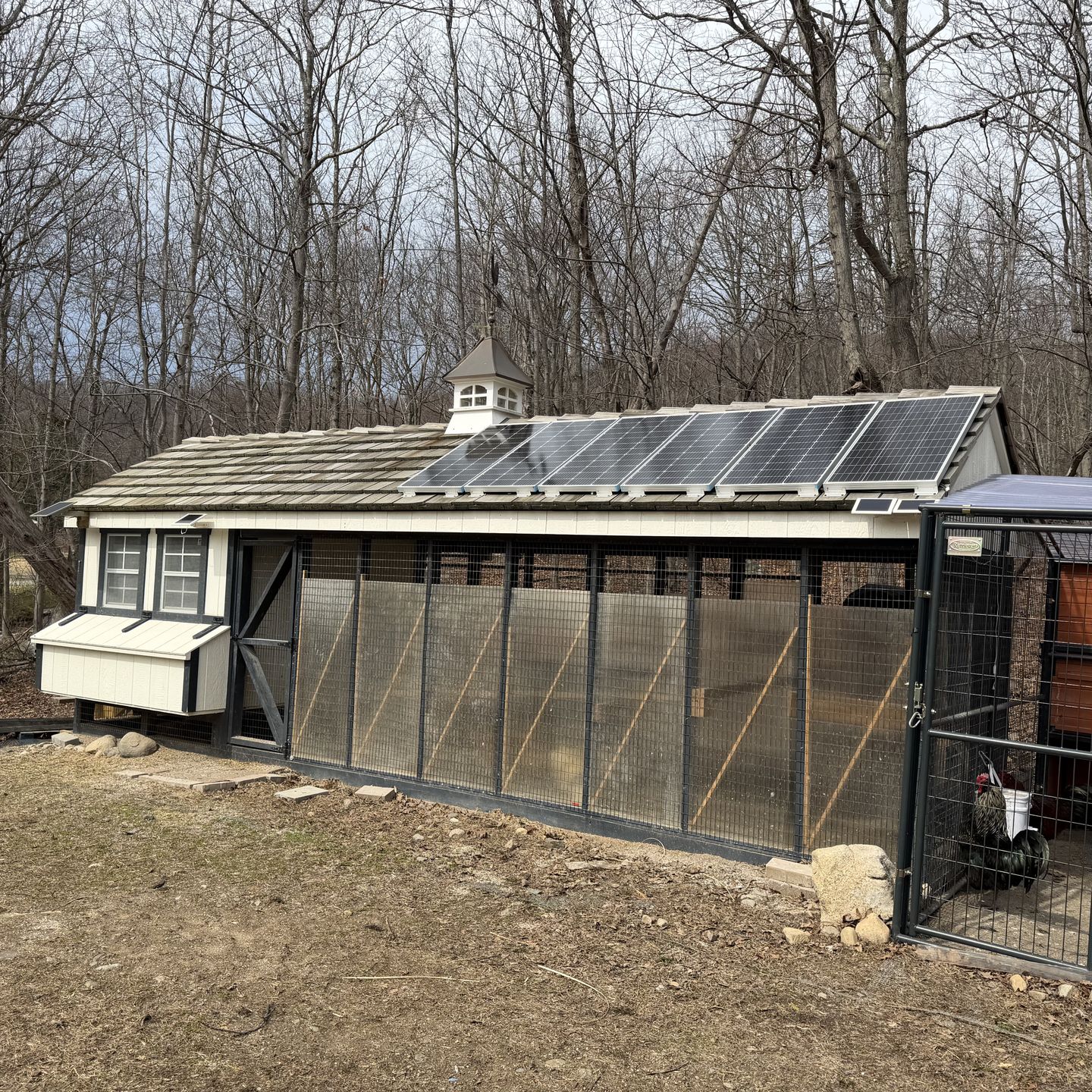 Chicken coop could be a dog house