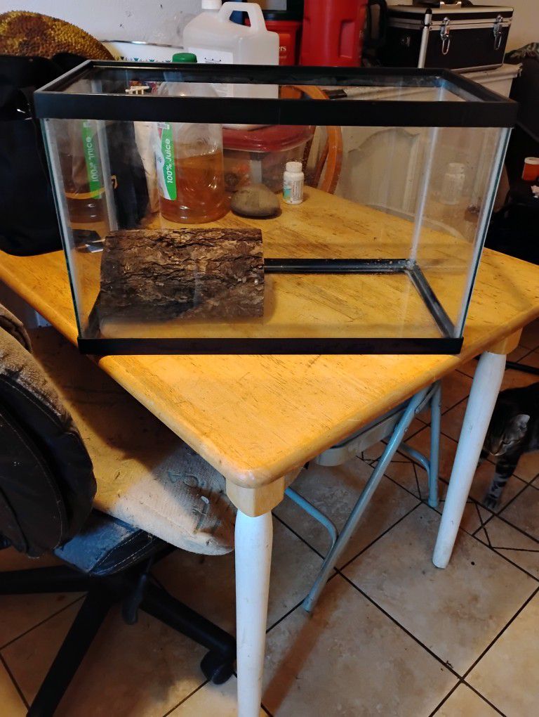 10 Gallon Tank For Fish Or Lizards