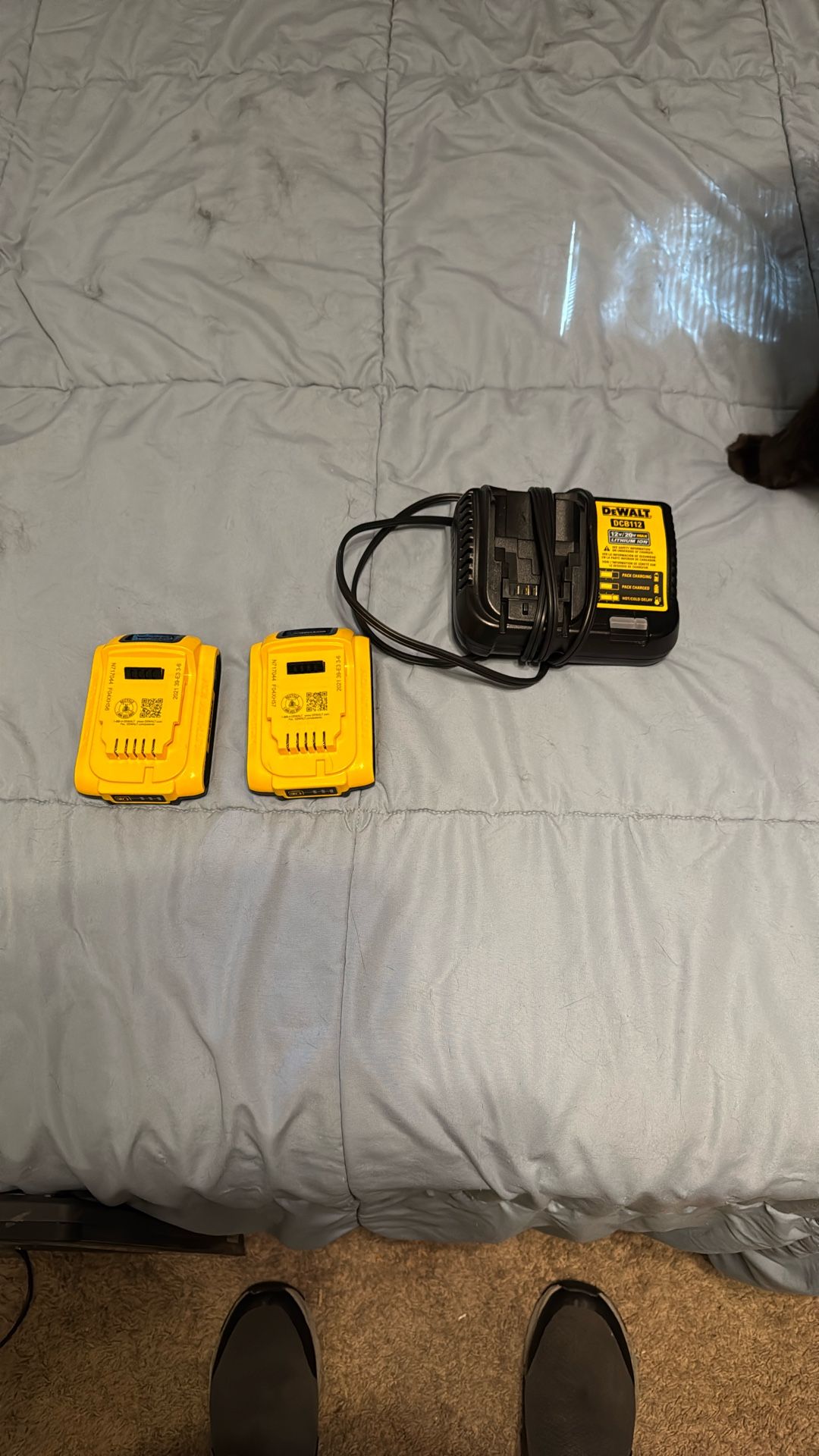 2 Dewalt 2ah 20v Batteries And Charger