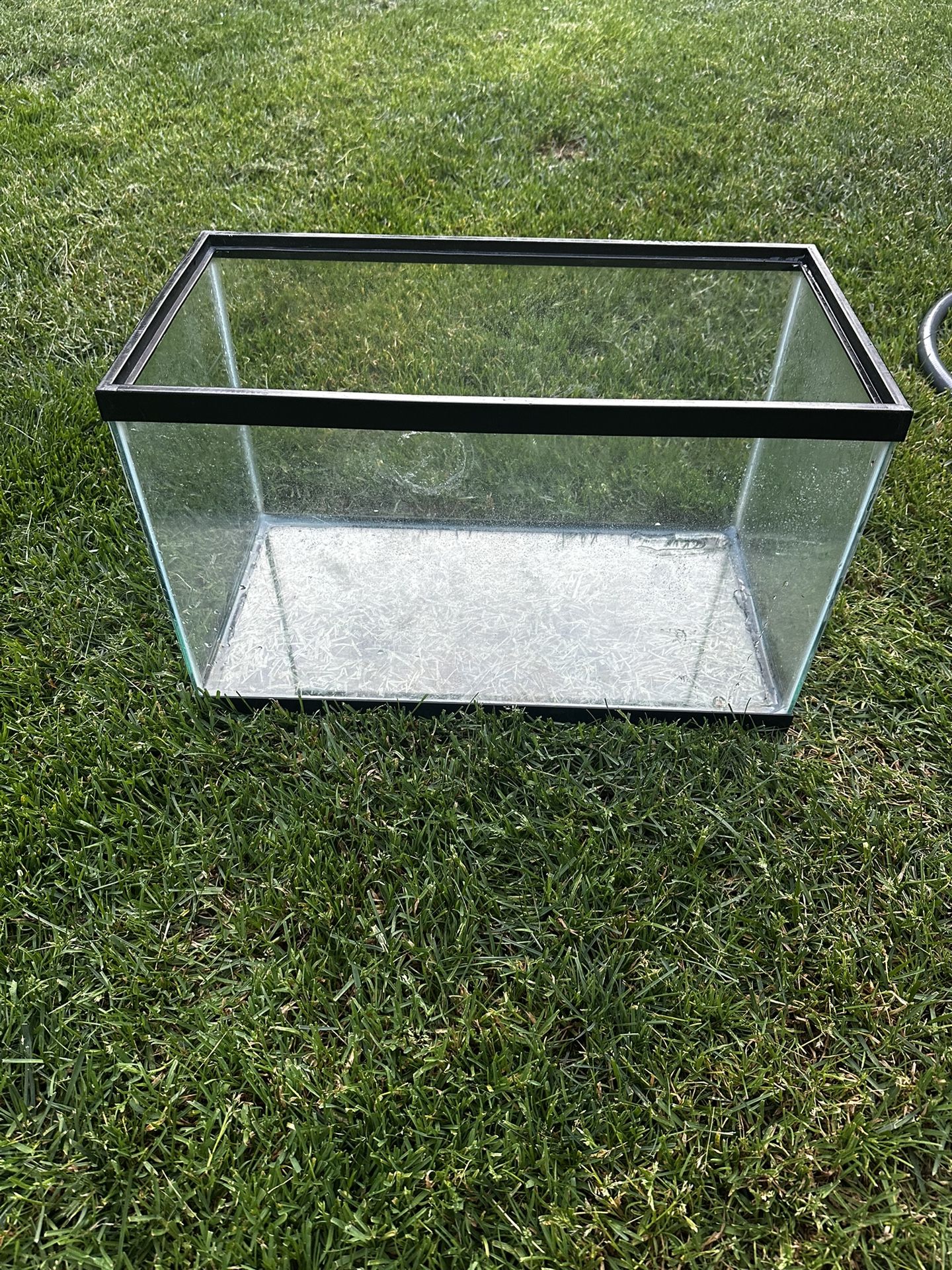 10 Gallon Tank / Terrarium