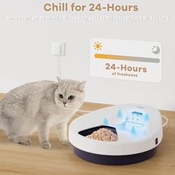 Automatic Cat Feeder 