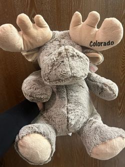 Moose