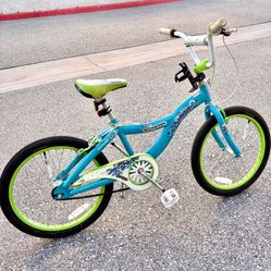 Kids 20” Bike - Schwinn Whisper