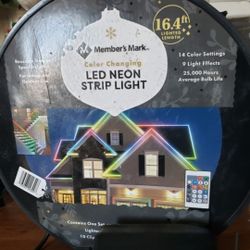 LED NEON STRIP LIGHT