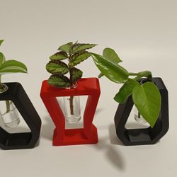 Plant propagation unit