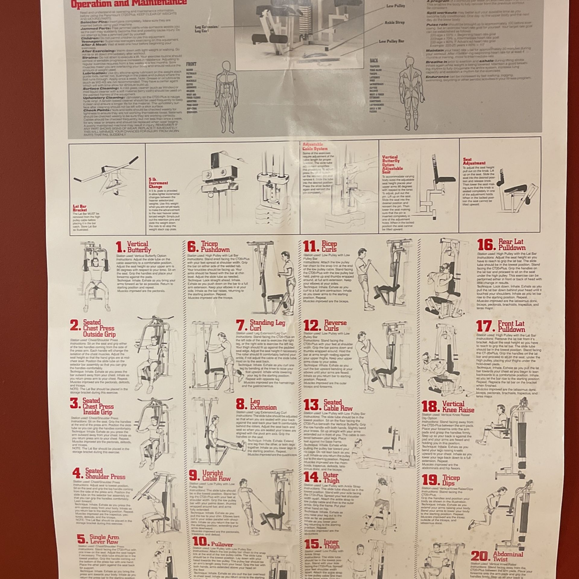 Gym Equipment ( Paramount Ct20 Plus for Sale in Naperville, IL OfferUp