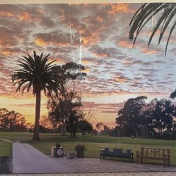 Brand New Canvas art  - Oceanside CA 