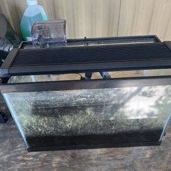 5 Gallon Fish Tank