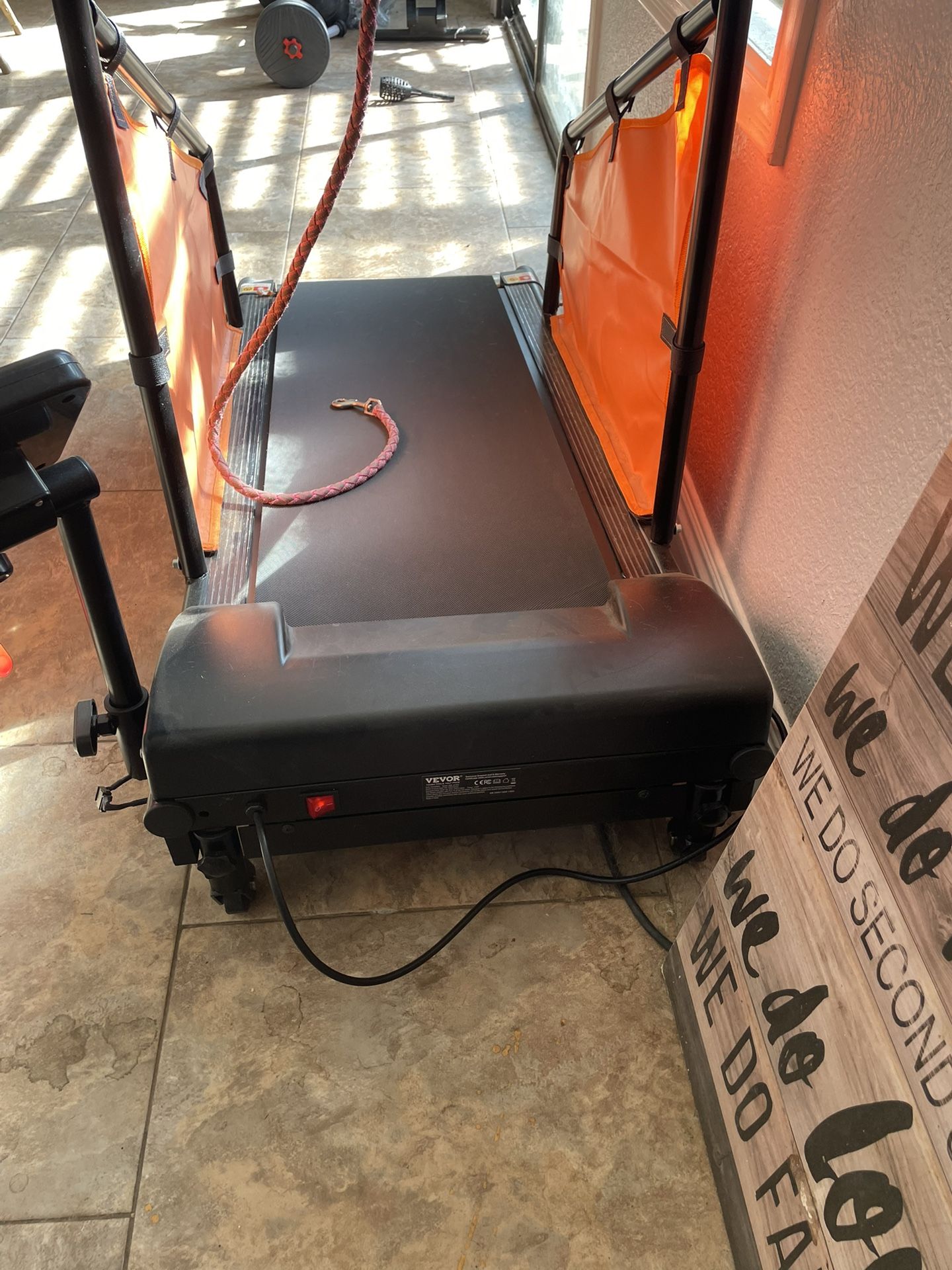 Dog Exercising Machine