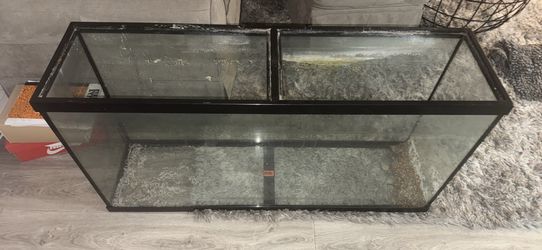 55-gallon TANK for fish/repltiles/spiders/urkids