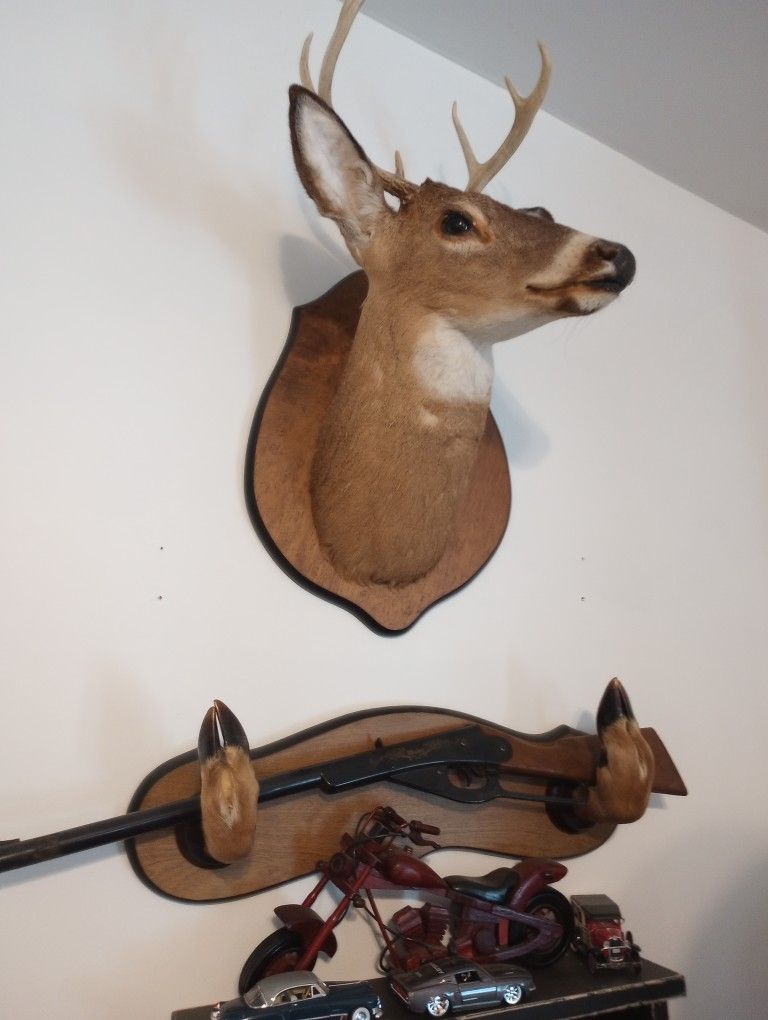 Deer Head And Rifle Holder