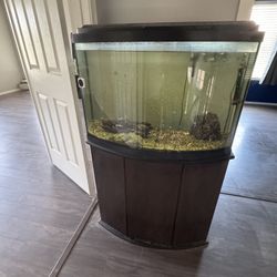 Bow front Fish Tank 36 Gallon 
