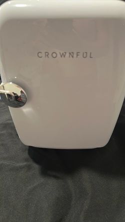 Beauty mini fridge