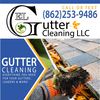 ELG Gutter Cleaning LLC