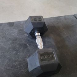 35lb Rogue Rubber Hex Dumbell