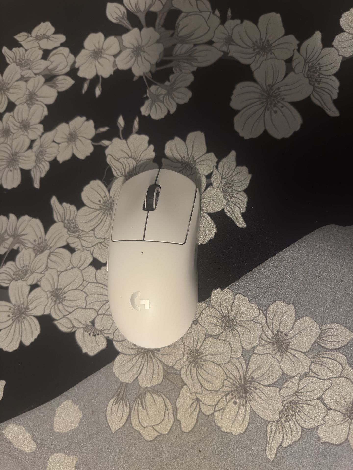 Logitech G Pro X Superlight