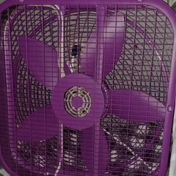 Excellent - Purple Fan