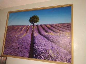 Lavender Flowers Paint