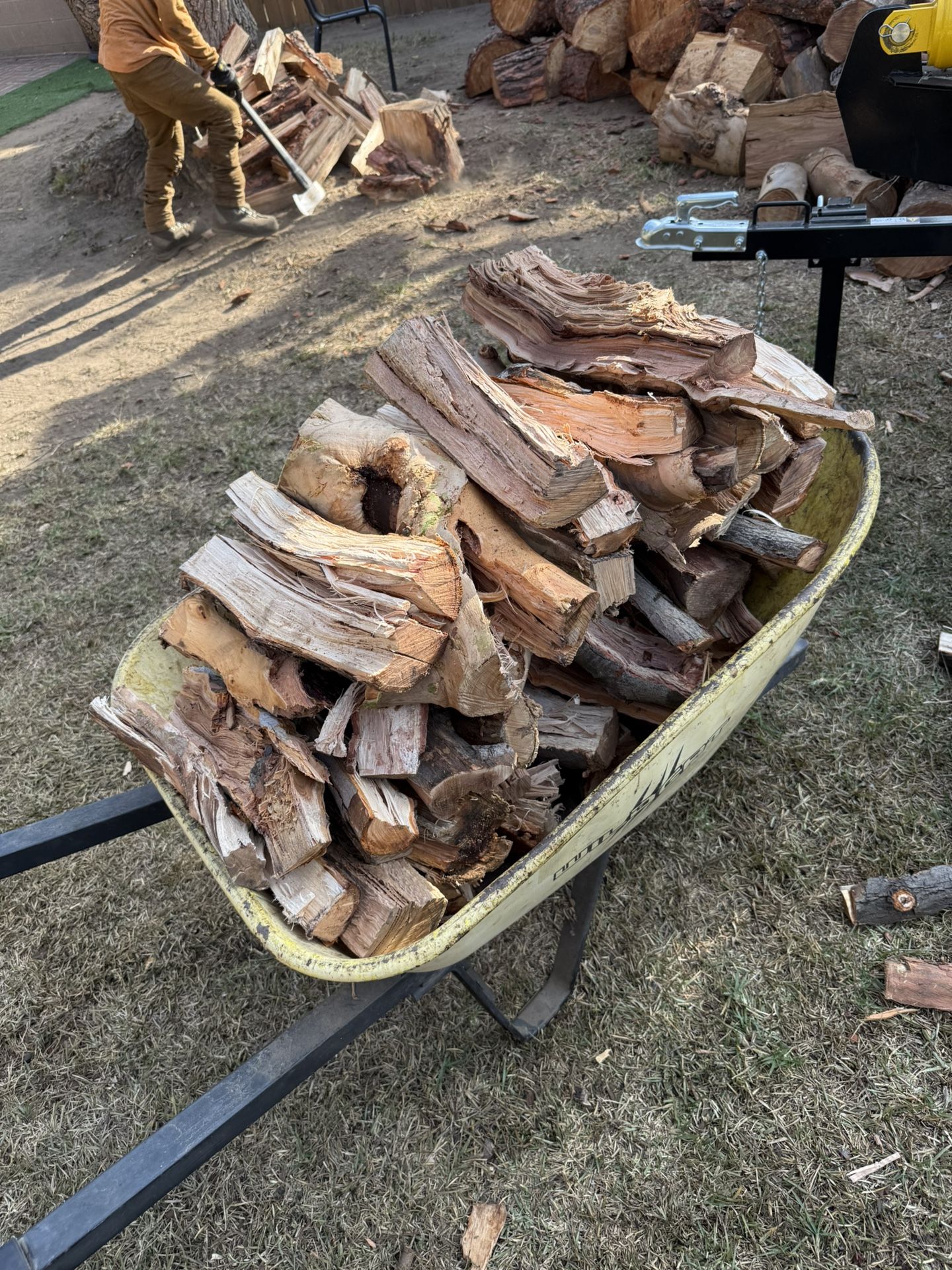 Firewood