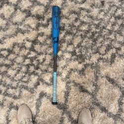 2025 Demarini Voodoo