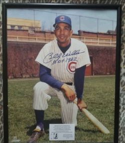 Billy Williams Auto 16x20...COA