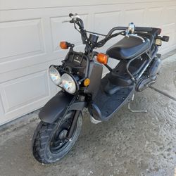 Honda Ruckus 