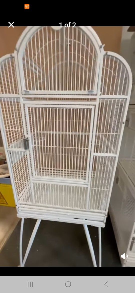 Birds Cage