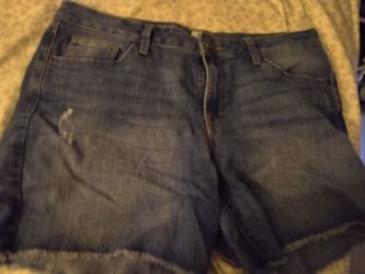 Women's size 12 shorts