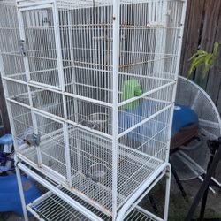 cage for bird 