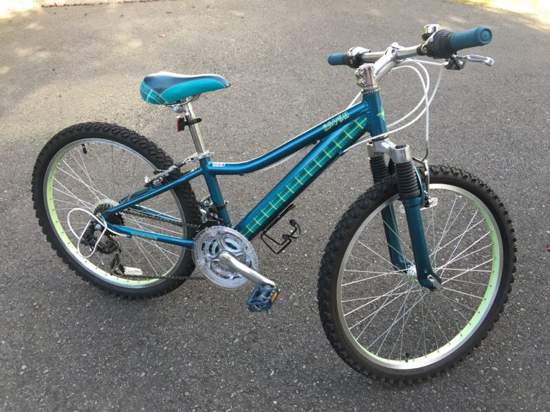 Raven 24 bike 2025