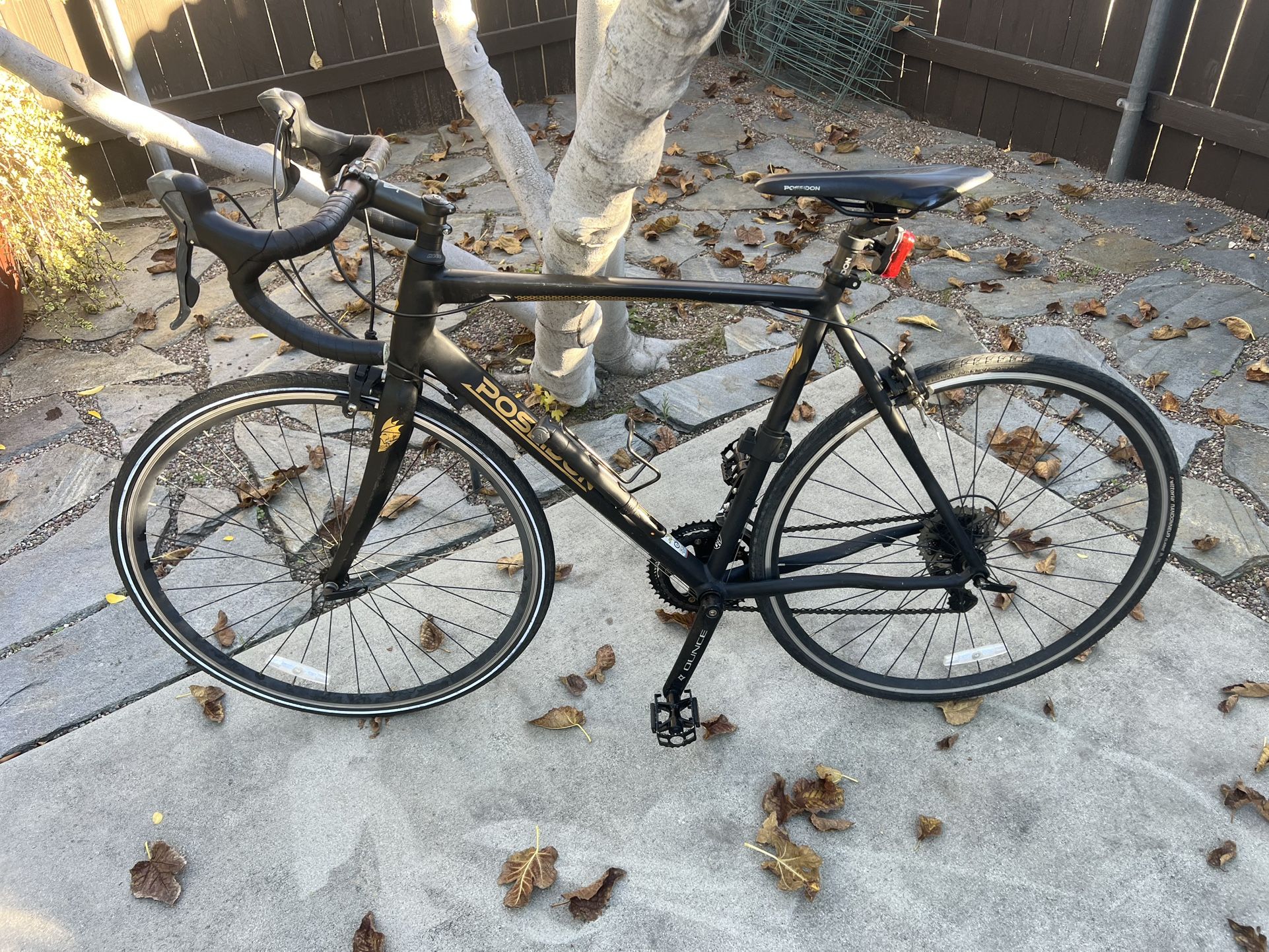 Poseidon triton X Bike