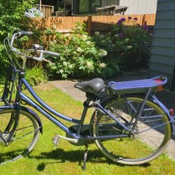 Cortina Roots Electric Bike From Amsterdam 