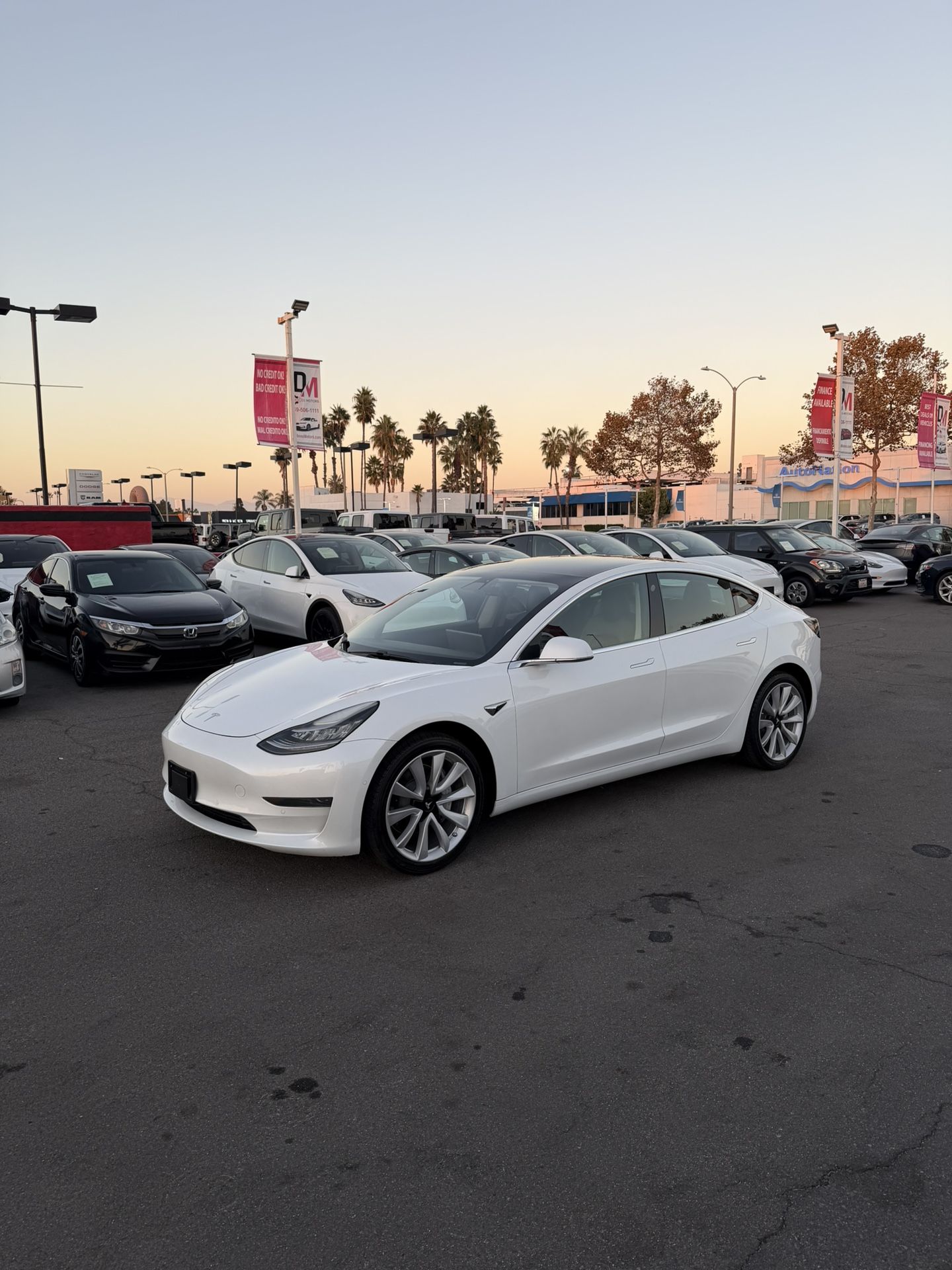 2019 Tesla Model 3