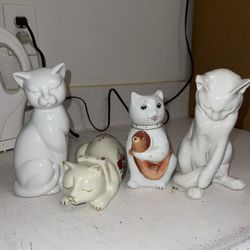 Cat Glass Decorative Collection 