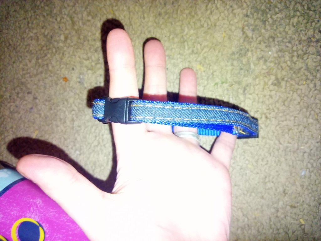 Dog Collar