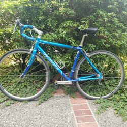 53.5 Specialized Dolce's, Road Bikes