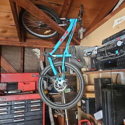 24' GT Stomper Pro  Disk Brakes $175