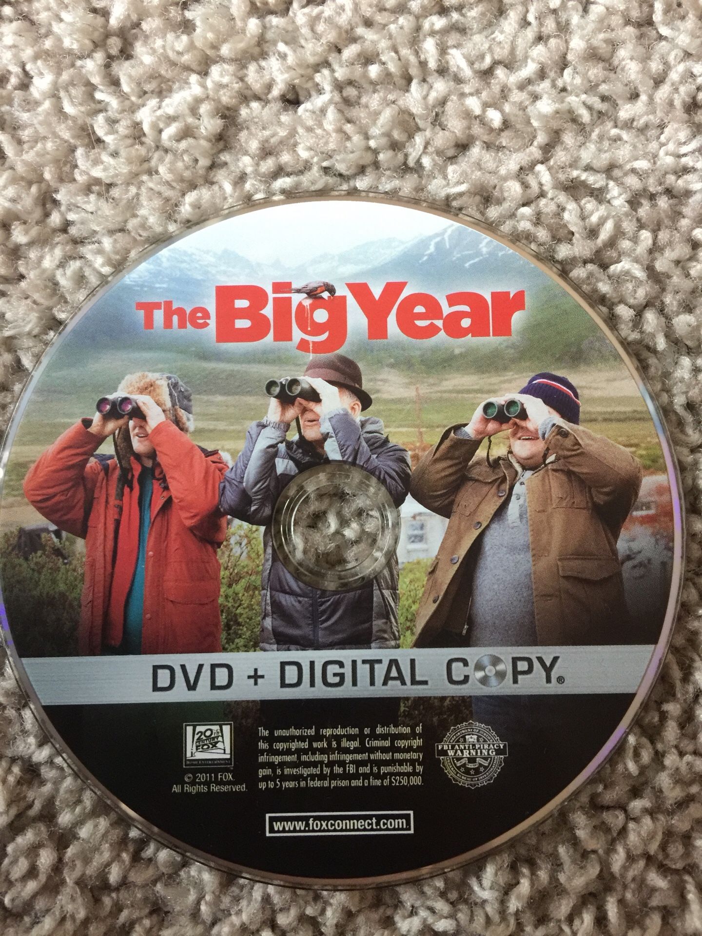 The Big Year