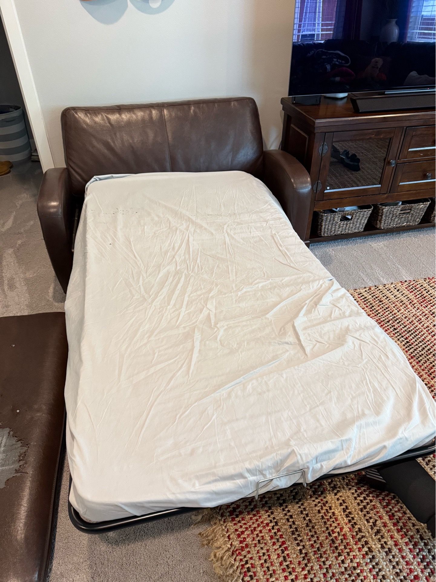 FREE MINI COUCH WITH PULL OUT BED