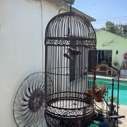 Iron bird cage